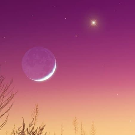 MarioQualiarel1 avatar